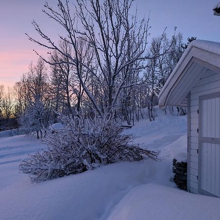 Cabin Magic On Senja, Atmosphere Like A Fairytale Botnhamn Exterior photo