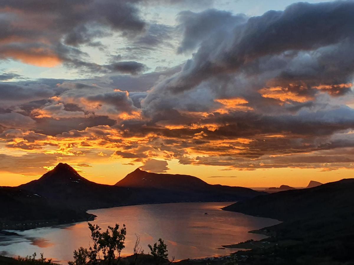 Cabin Magic On Senja, Atmosphere Like A Fairytale Botnhamn Exterior photo