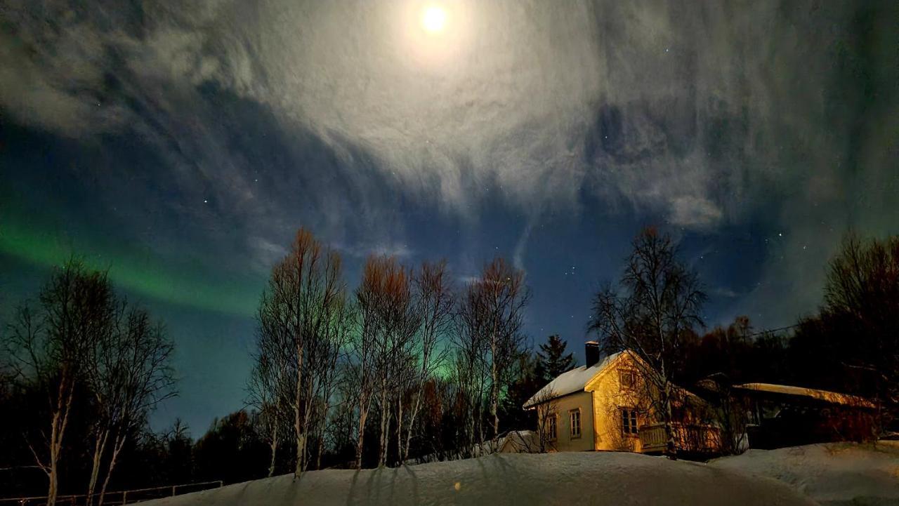 Cabin Magic On Senja, Atmosphere Like A Fairytale Botnhamn Exterior photo